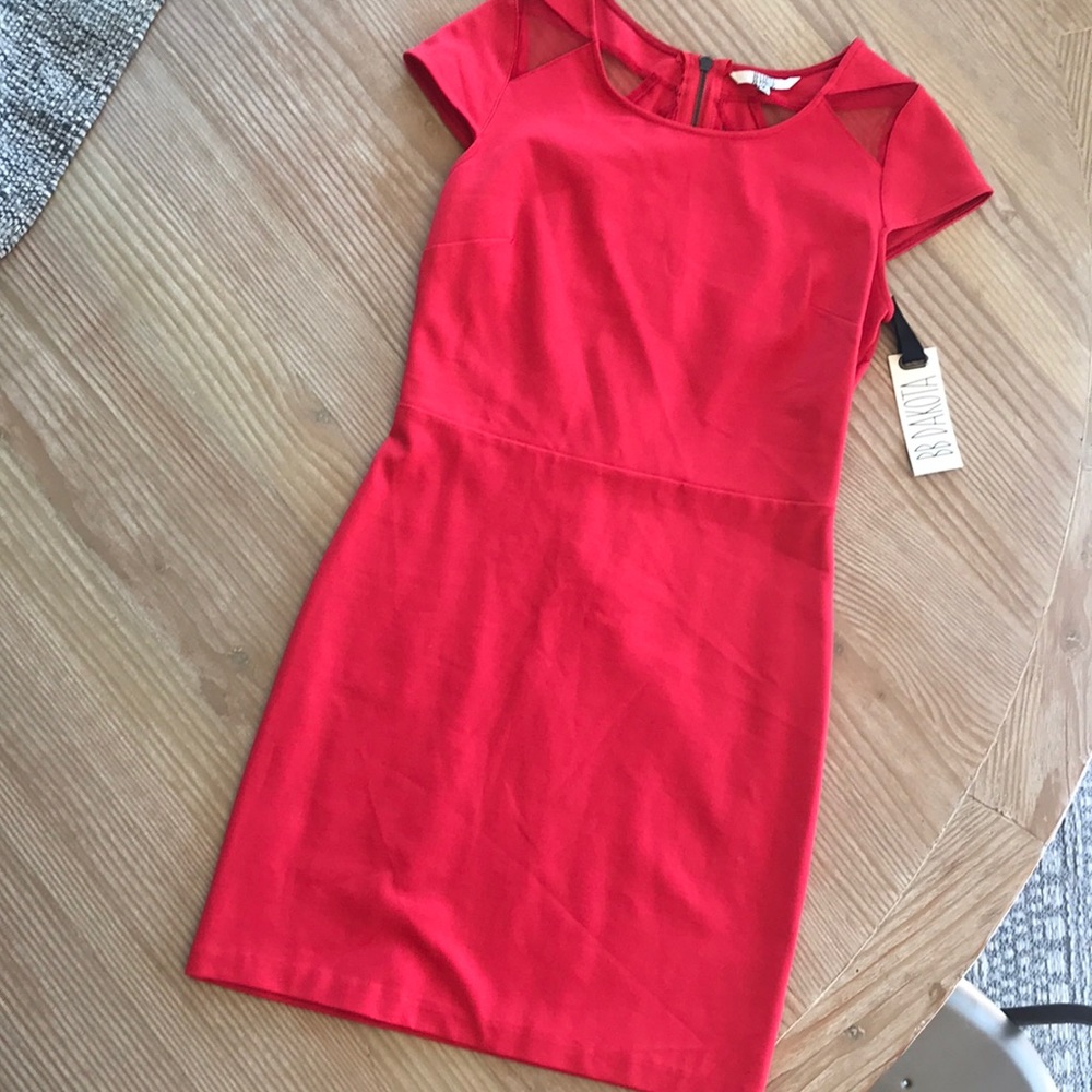 BB Dakota mini dress